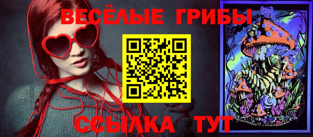Псилоцибиновые грибы Cubensis Таганрог